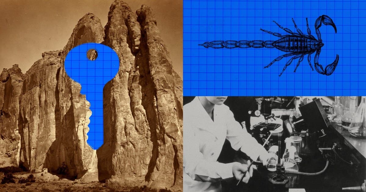 Claude Designed Protein Binders Against Scorpion Venom Toxins: 318,484 Designs, 211 Lab Tests, 17 Hits